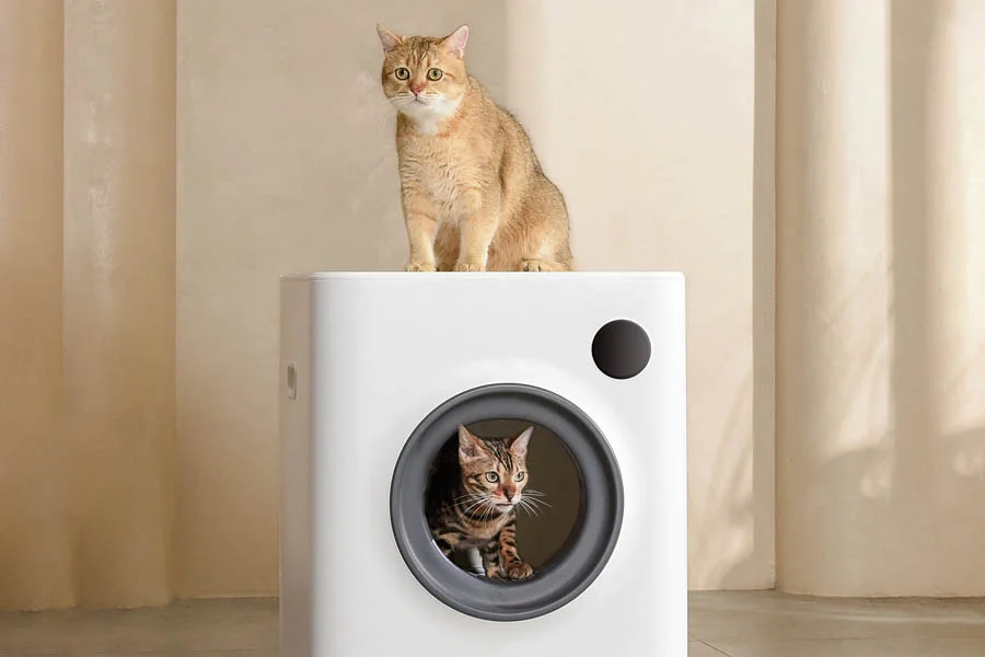 automatic kitten litter box